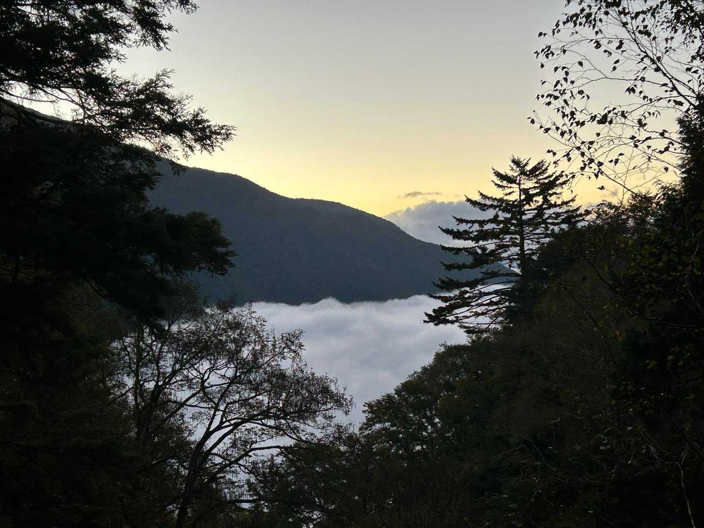 雲海が✨