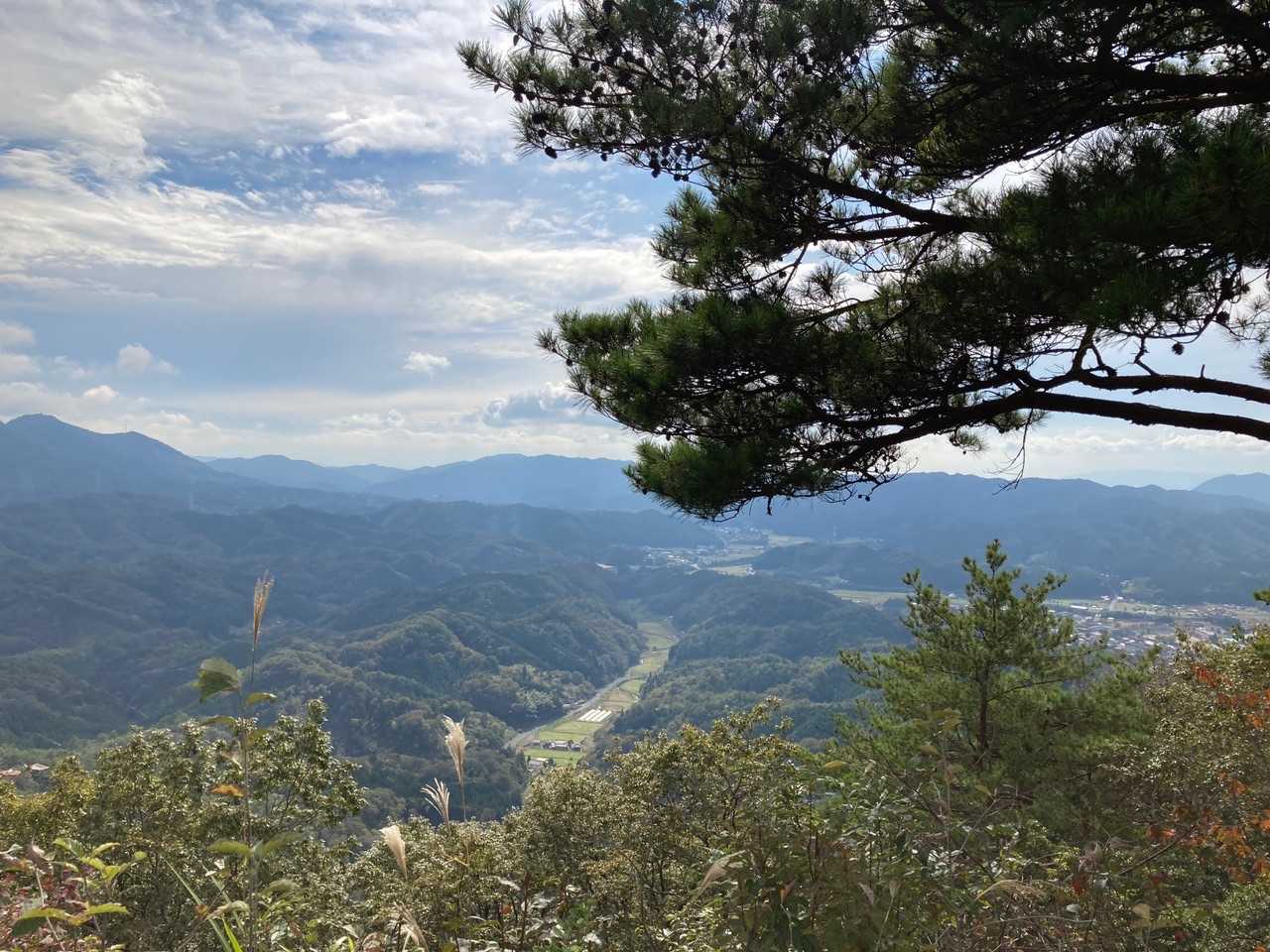 展望はこれだけ。