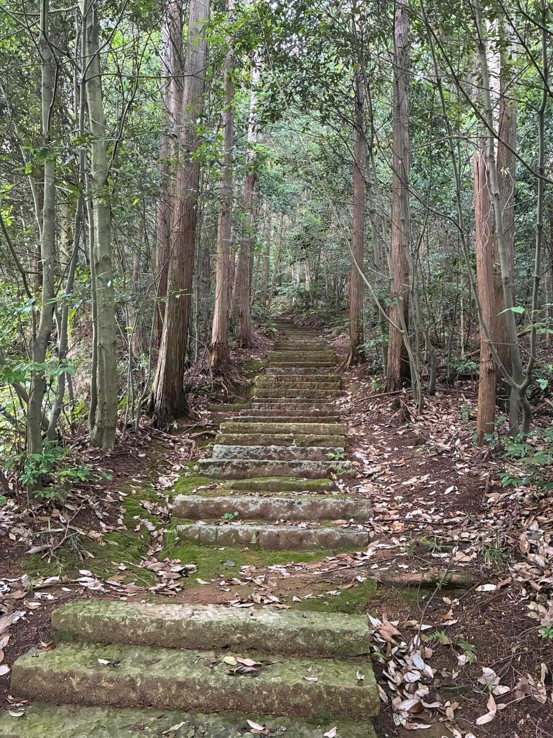 参道は長い階段が続きます