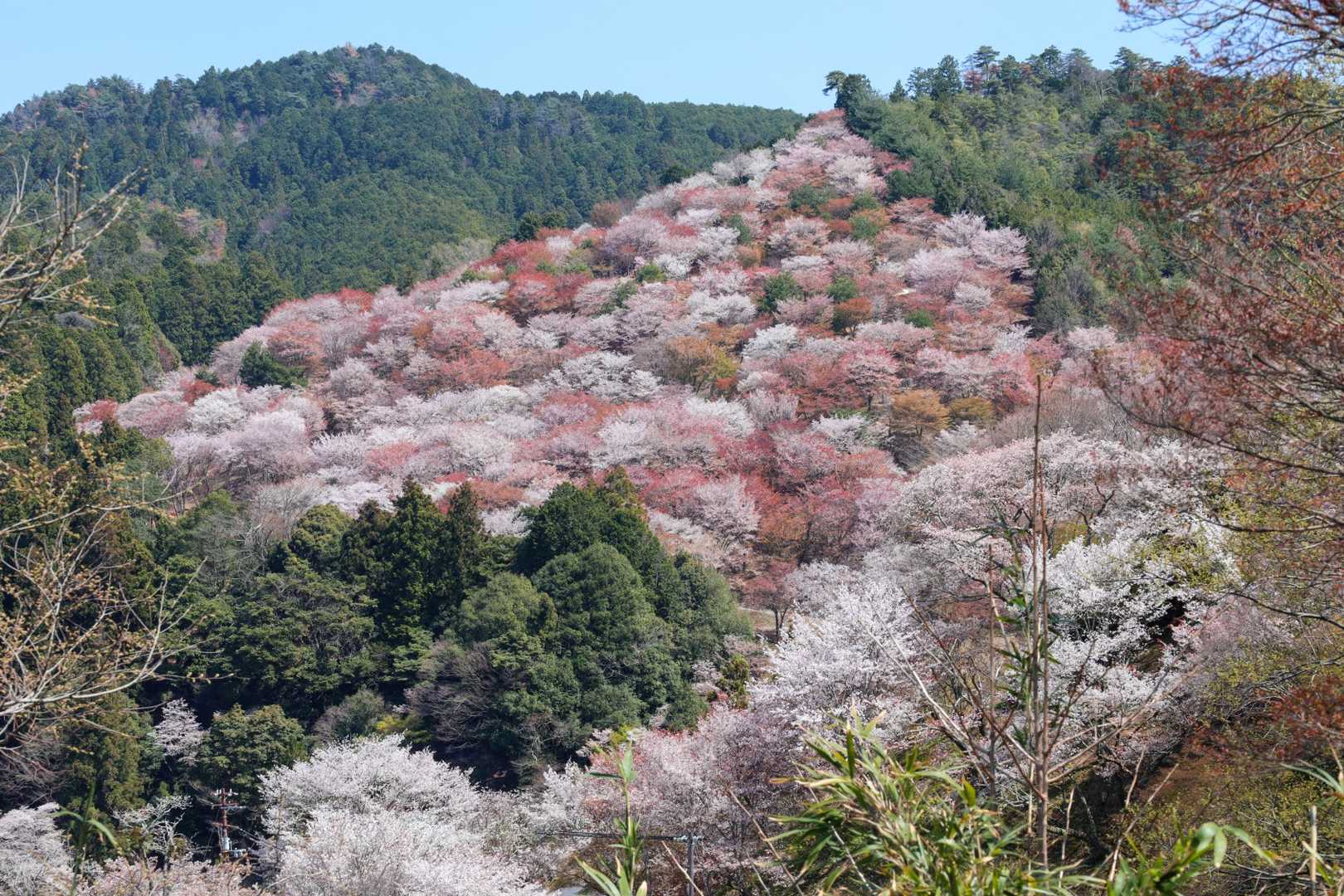 🌸😍パッチワーク！