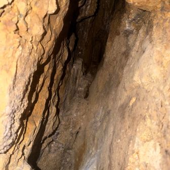 真っ暗な穴を照らすと微かに鉱石のような反射光？🤔