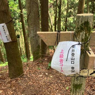 南井コースは上級者コースらしい
知らんかった…