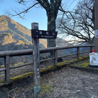 ダム沿いの道は歩けないので、すぐに山に入ります