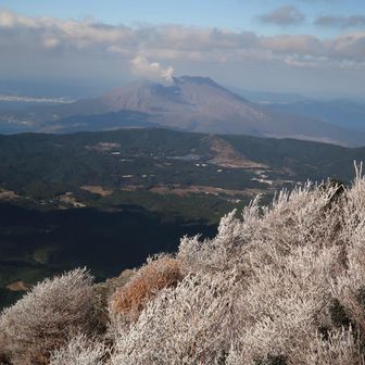 霧氷越しの桜島
