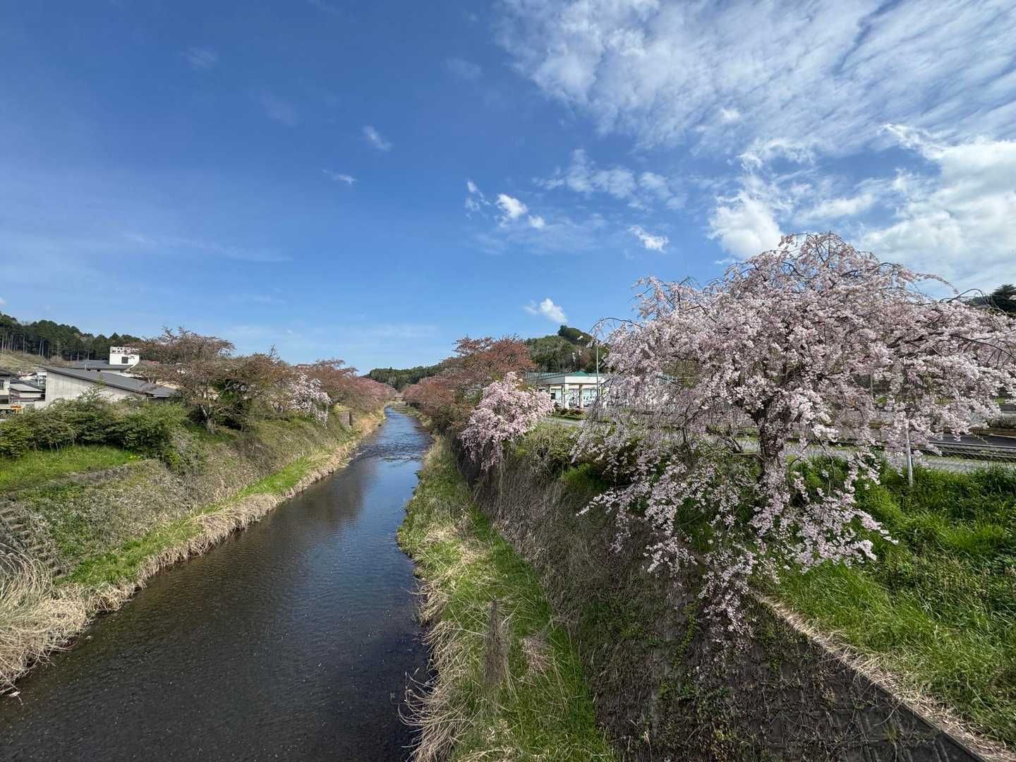 城山 往復コースの写真