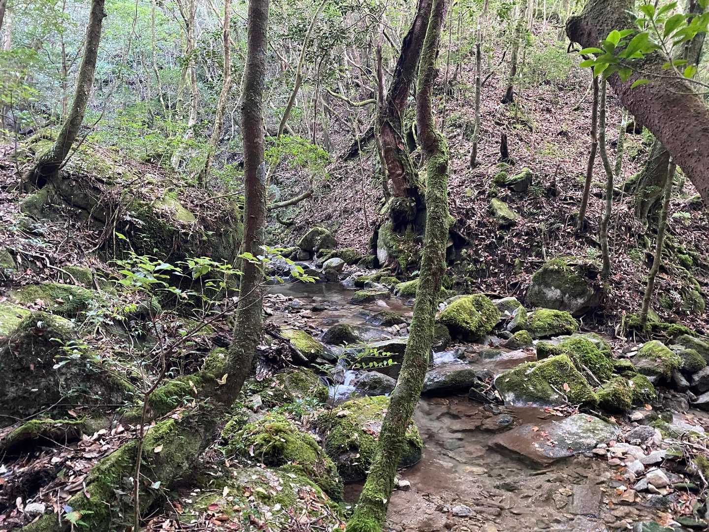 初めましてのお山 
ワクワク♡