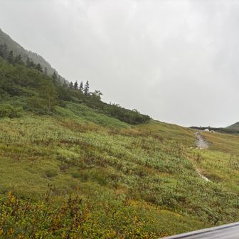 部屋からの眺め　テン場も見えます
16時半頃からずっと雨に

部屋が食堂の真上だったからか、ここは居酒屋かと思うくらい騒がしい声がずっと聞こえてキツかったな…早く休みたかったのに…