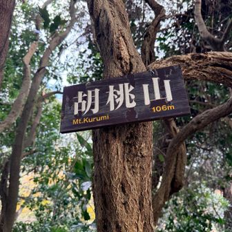 洞窟の上の山が胡桃山
山頂標識もある💡