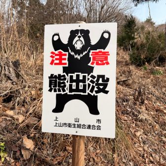 山形市内でもガチで出てる