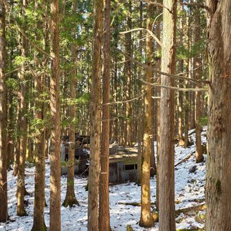 旧造林小屋まで降りてきた