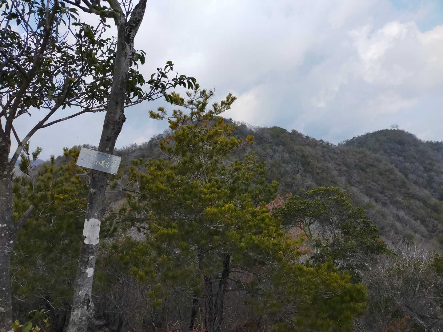 小美女平