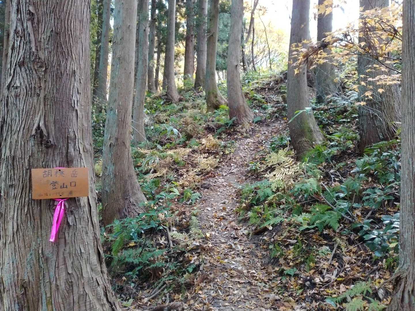 登山開始！