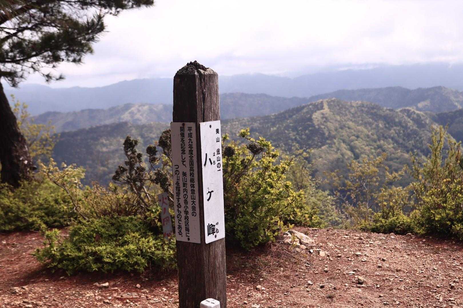 八ヶ峰 往復コースの写真