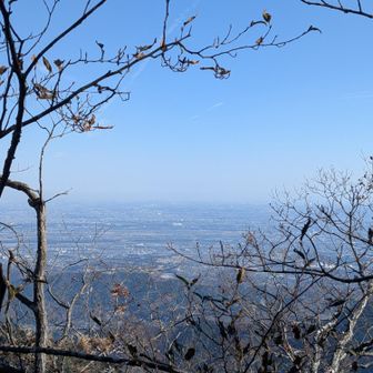 横浜のランドマークタワー見えますね！