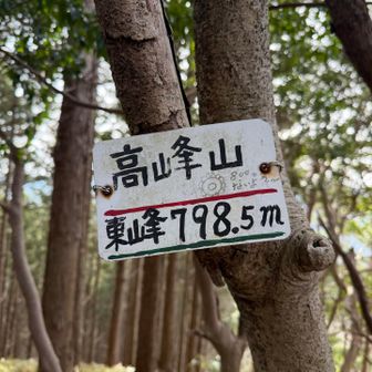 程なく高峰山山頂⛰️