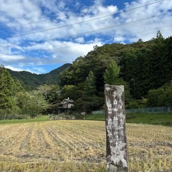 いつものようにCコースで登ります