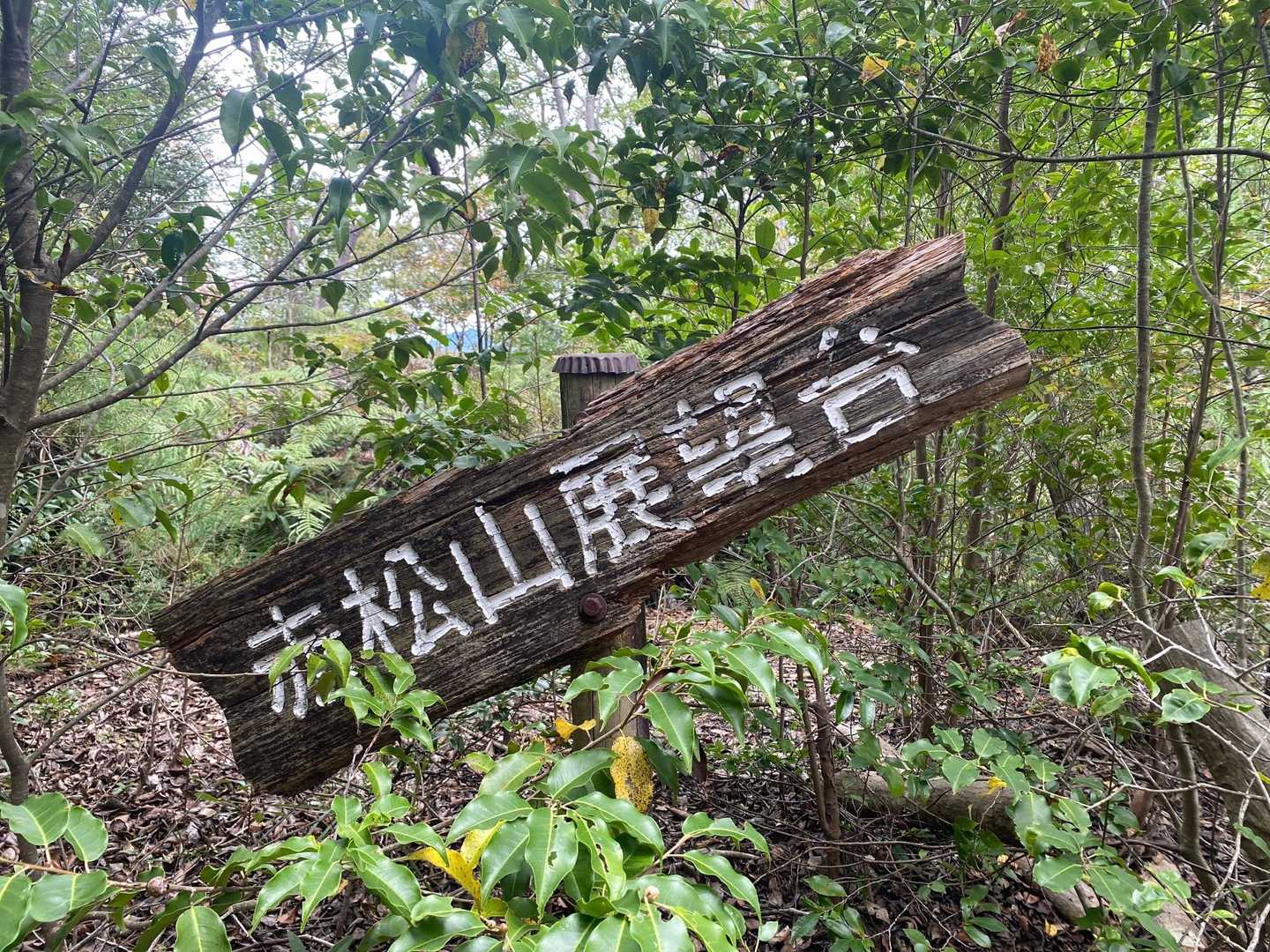 あらら！看板が曲がってる
そして展望がない🤣