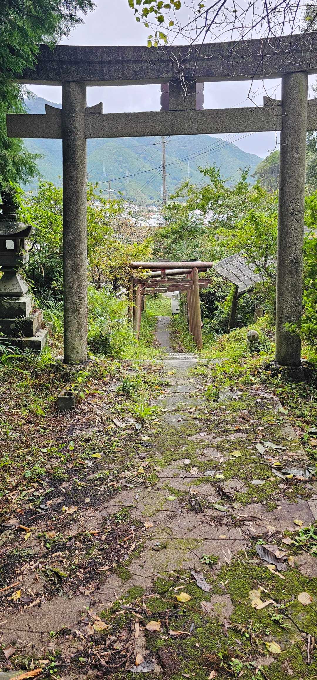 下りて来ました。