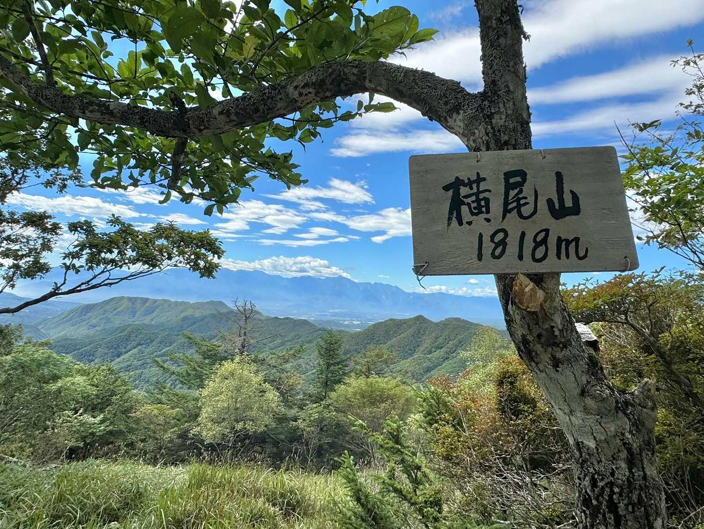 ここにも標識
