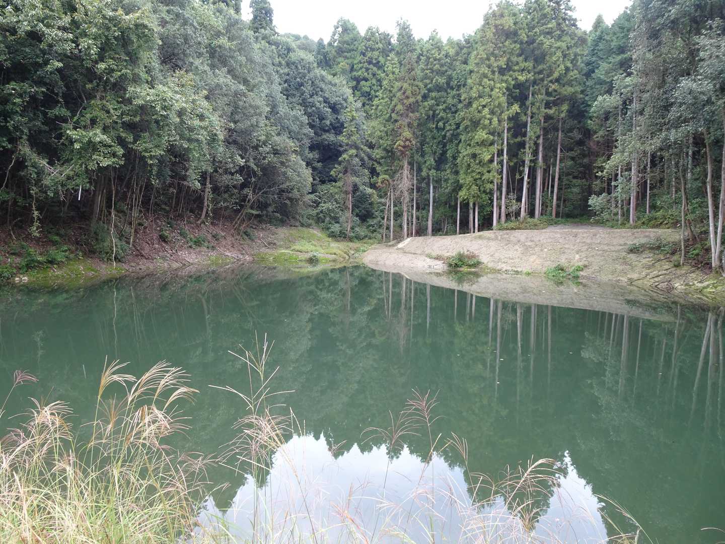 高尾峯 往復コースの写真