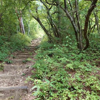 ここからが本番？
小谷山の山頂へ延々と階段が続く。