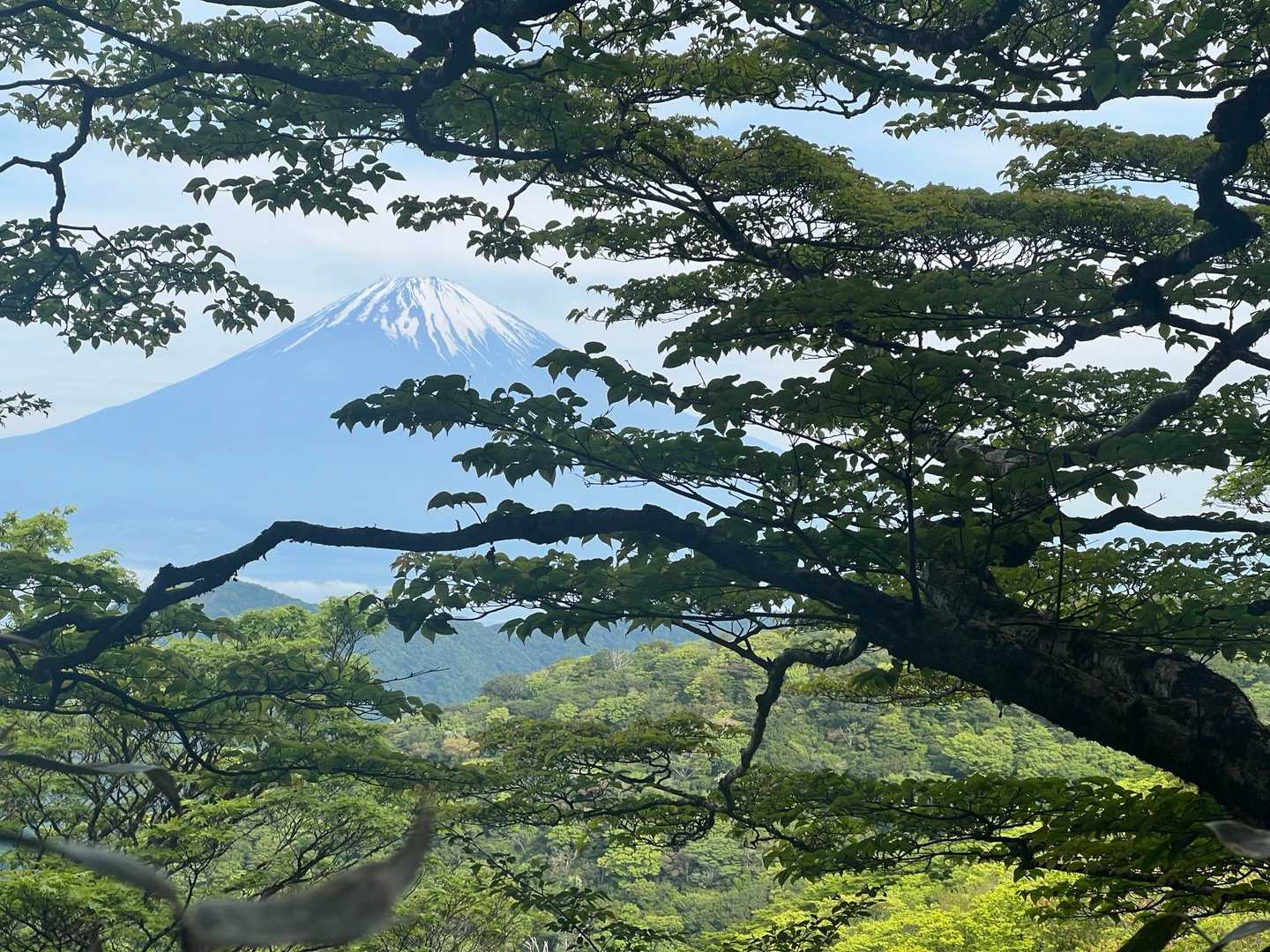 富士山がチラリと見えました🗻