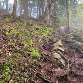 山頂直下は傾斜がきつい。
