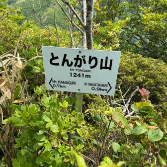 こちらにも新しい標識