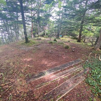 山頂の様子