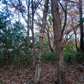 看板出来とる！