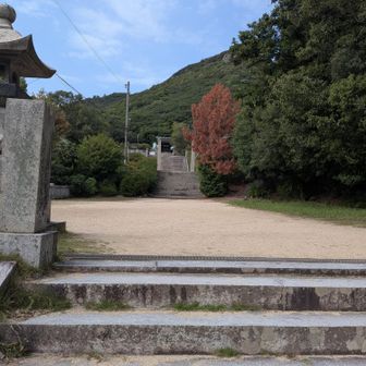戻ってきた