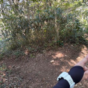 例の、上りと下りが一方通行の場所まで来た
下山は右へ➡️