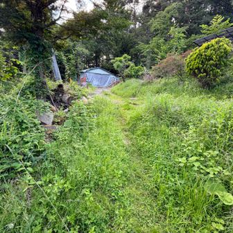 準備してここから入山🚶