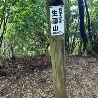 地味な生藤山ピーク
何故生藤山は、山バッジがあるのか？
