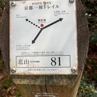 沢山…京都一周トレイルのピークではないですが、行きます🫡