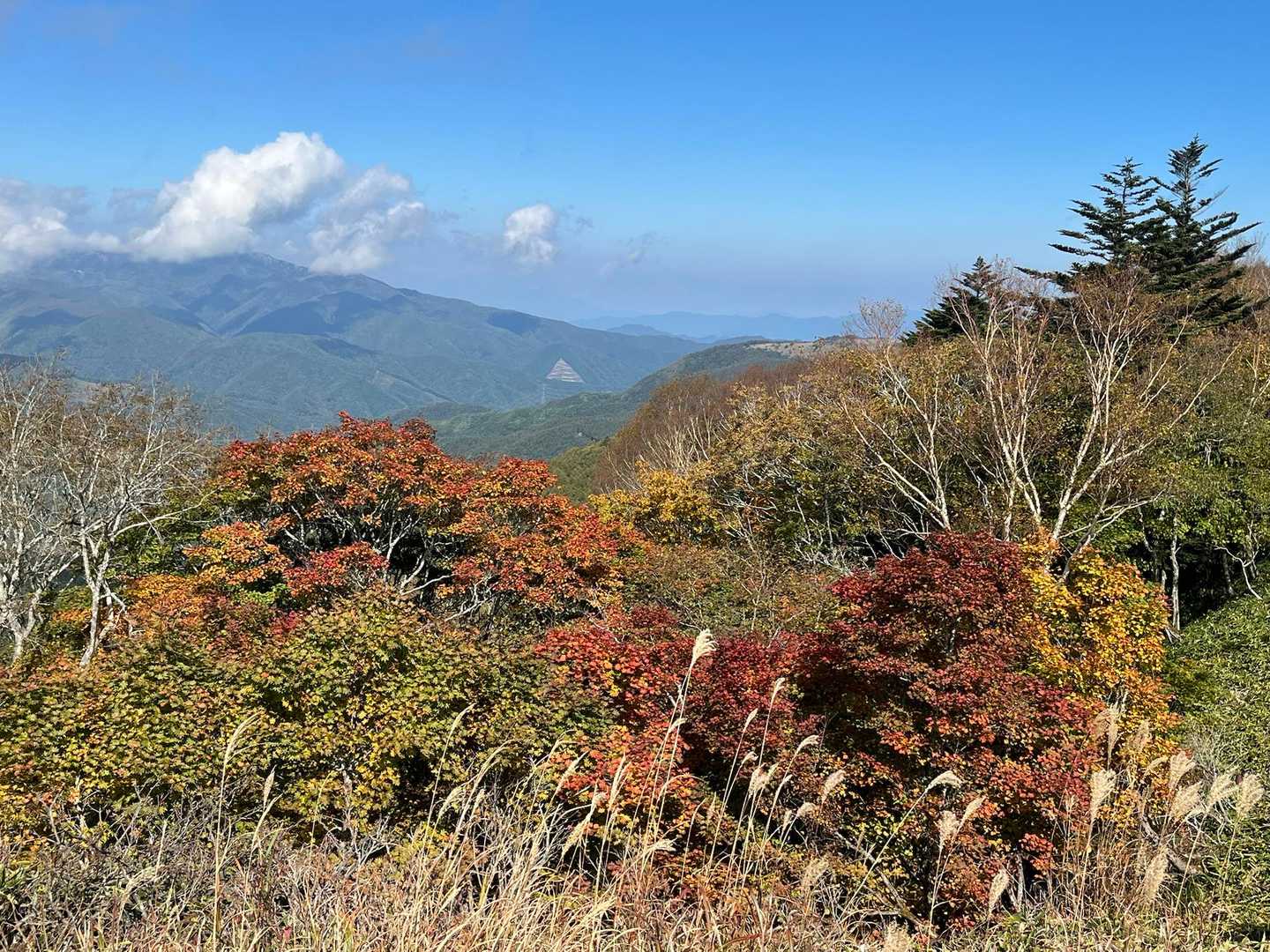 紅葉もキレイ😍