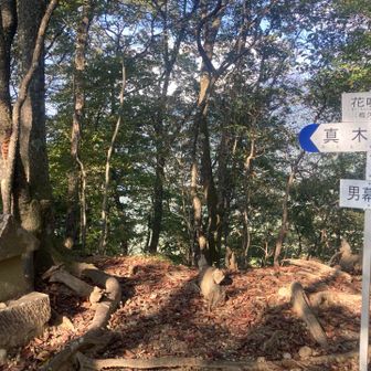 続いて花咲山