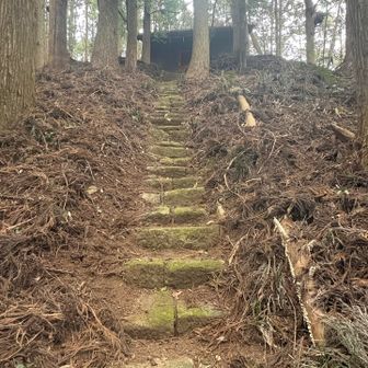 少し降りてから振り返る⛩️