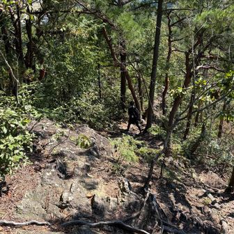岩場をたったか下山中💨