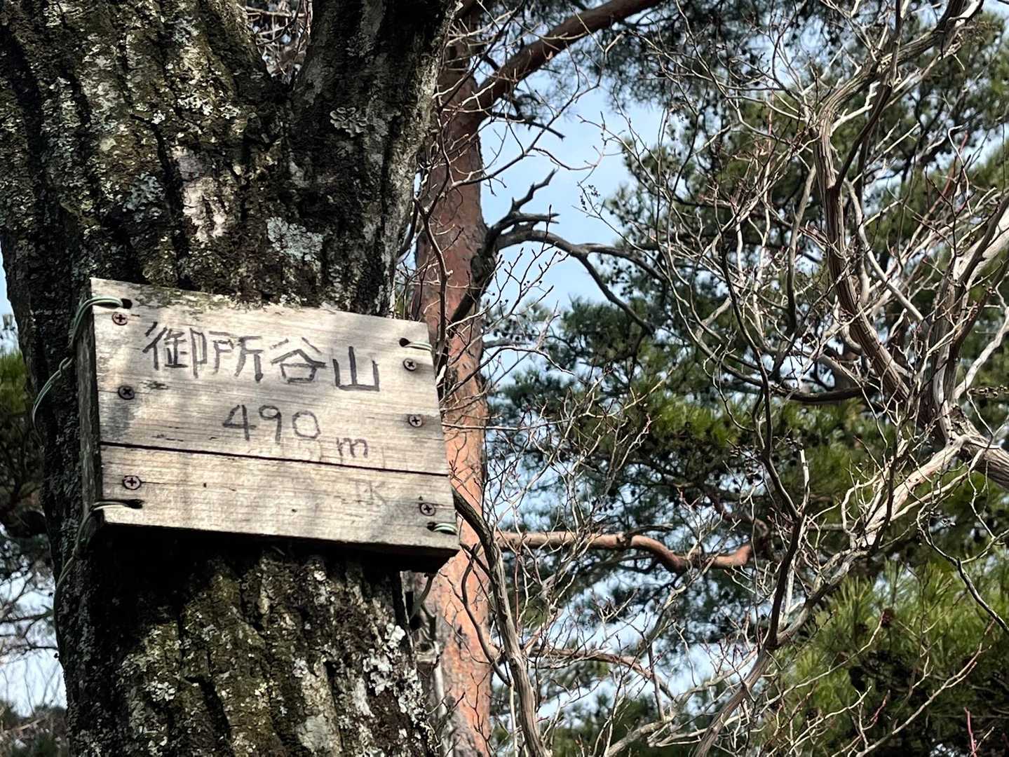 御所谷山。巻道通るだけでピーク取れますが、ちゃんと登りました。
11座目ピークゲット⛰
