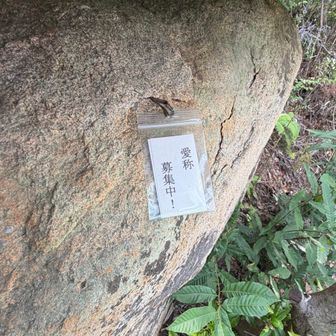 名称募集中だそう