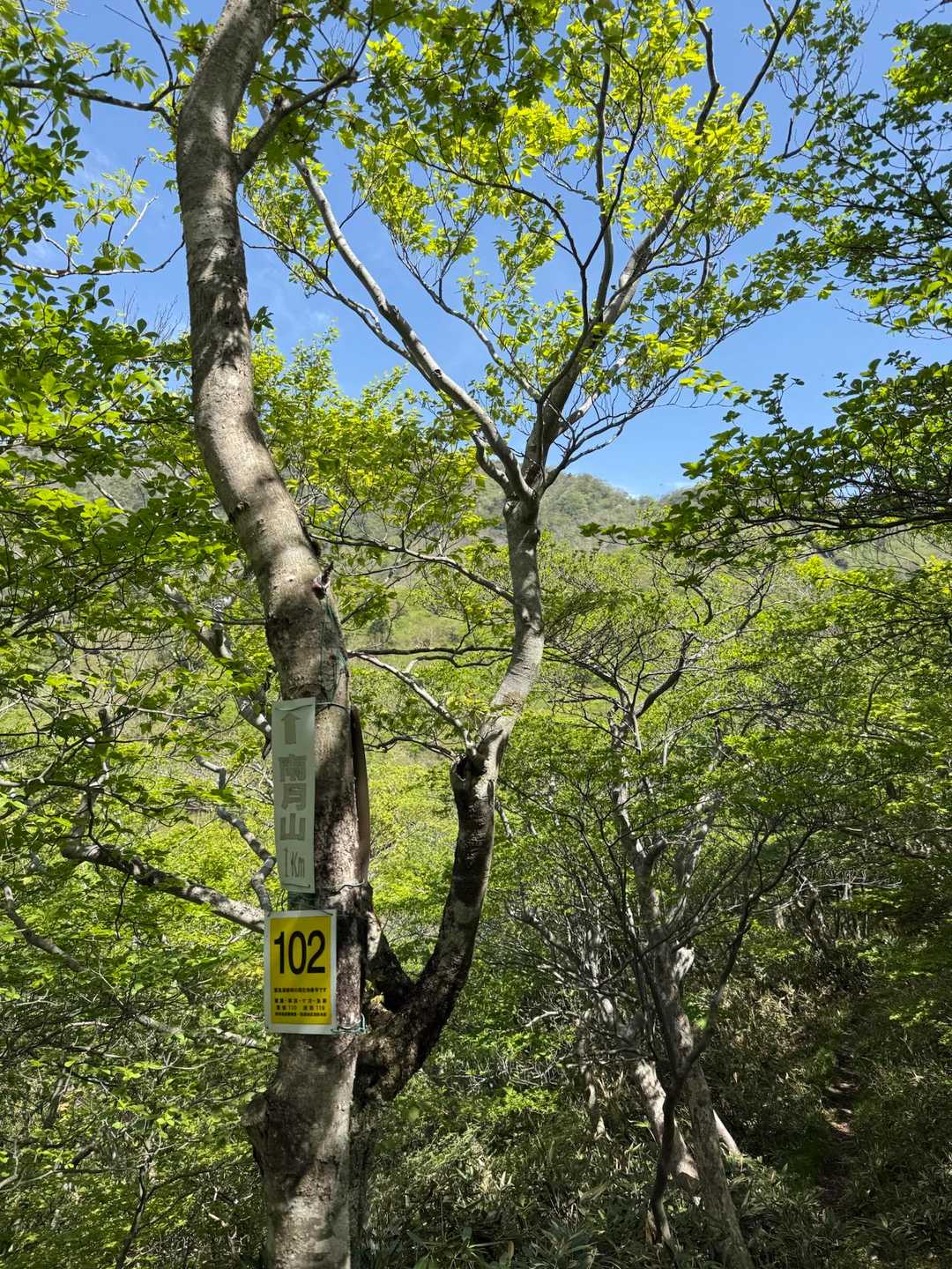 次は南月山を目指します
