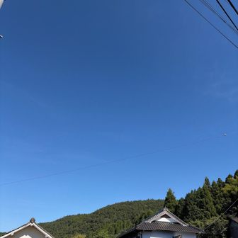 いいお天気😊