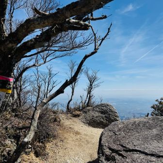 青岳　
静かでポカポカ　縦走やめて
ここでまったりしようかなって気分になる
何も持ってきてないから進む事にします