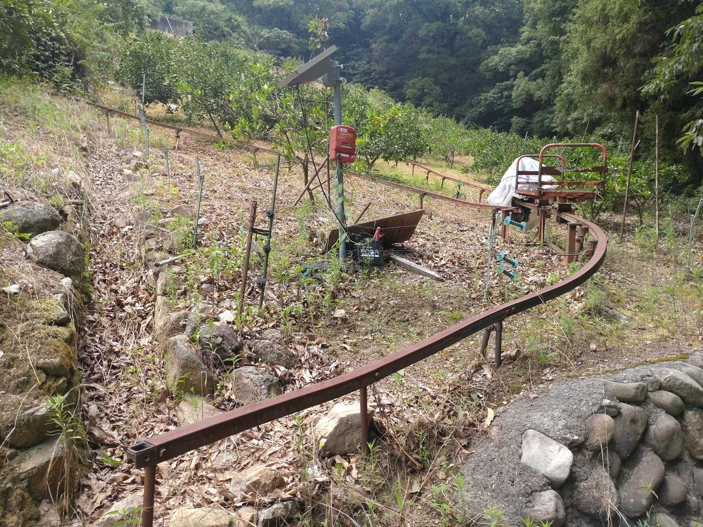 また撮る