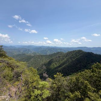 瑠璃山？目印が見当たらなかった