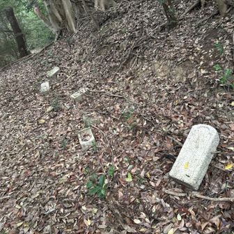 倒れてる。😳
可哀想なので起こしてあげよう。