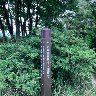 一旦道路を渡って進みます