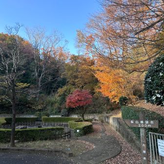 農村環境改善センターからスタート