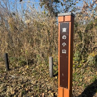 二段降りたところに標識がありました